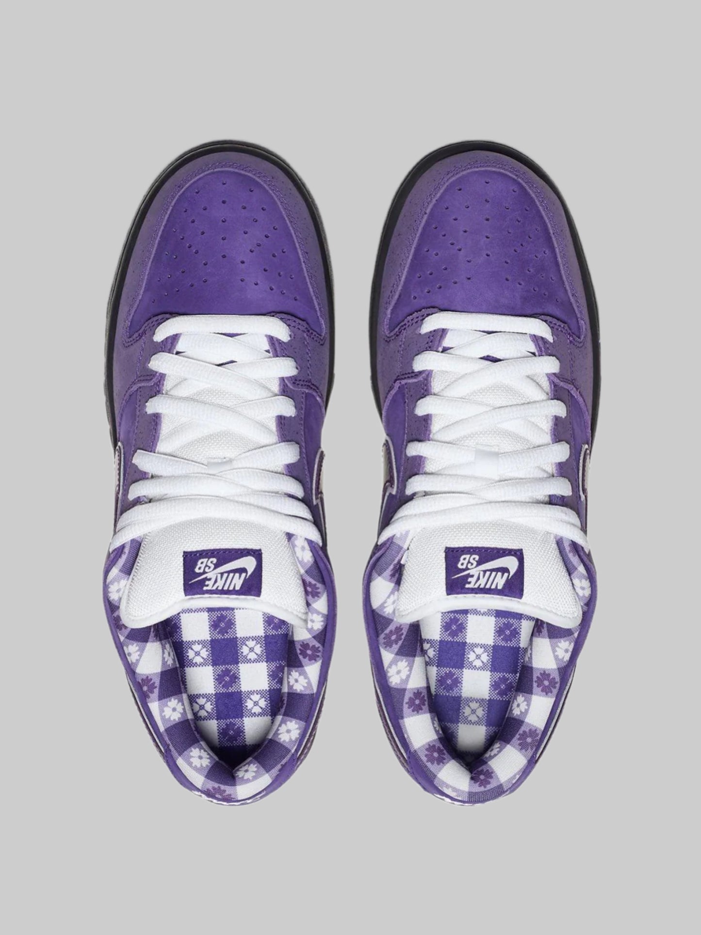 Nike SB Dunk Low Concepts Lobster Purple