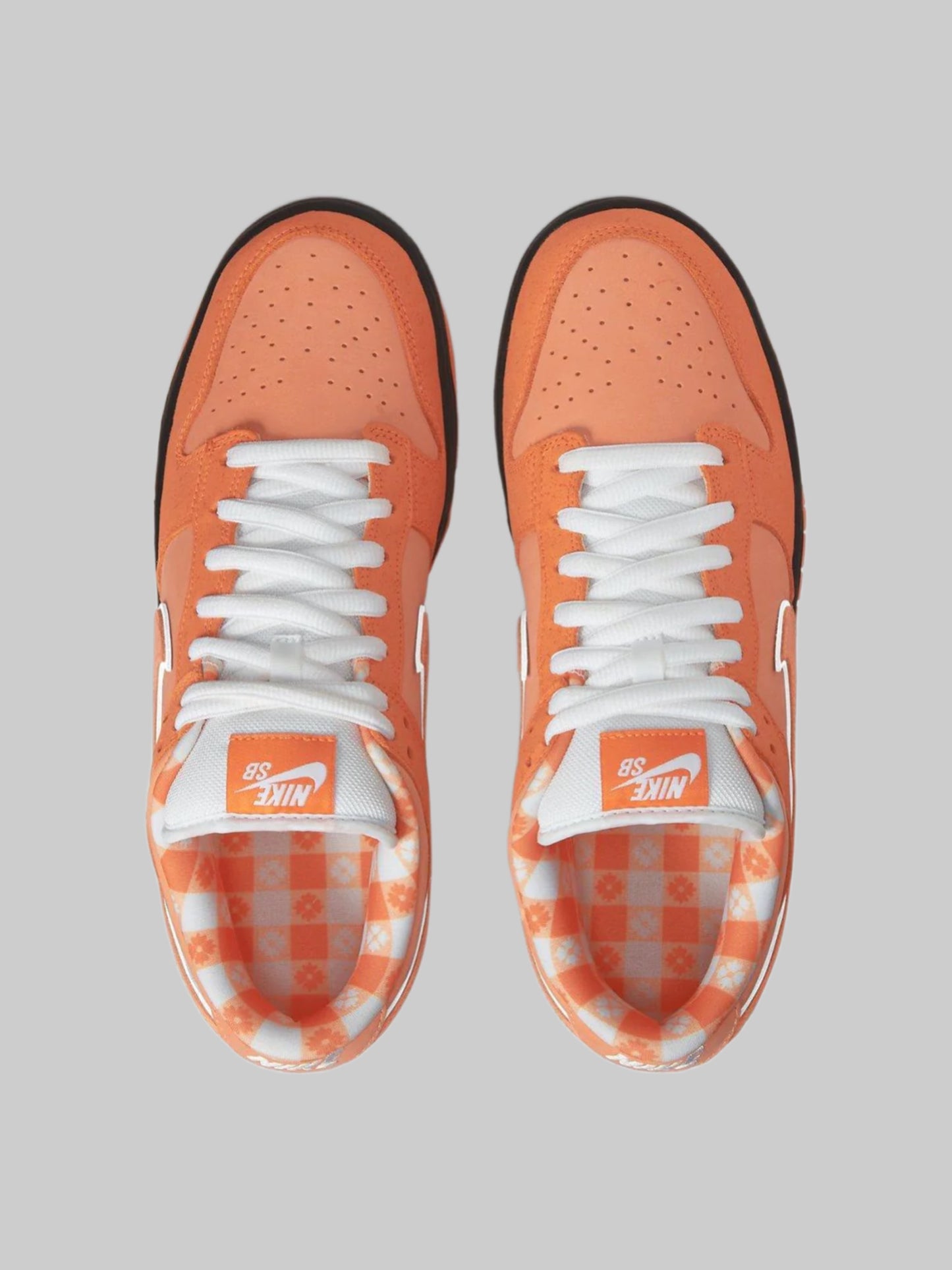Nike SB Dunk Low Concepts Lobster Orange